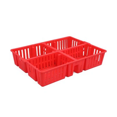 Plastikowe pudełko do transportu piskląt