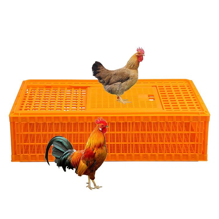 Plastikowe pudełko obrotowe do klatek dla kurczaków